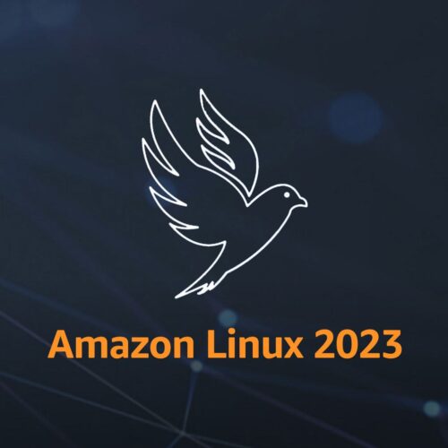 Cara untuk deploy Linux server di Amazon AWS